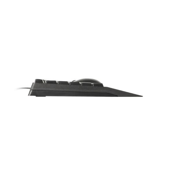 ماوس و کیبورد رپو مدل NX2000 FA Black